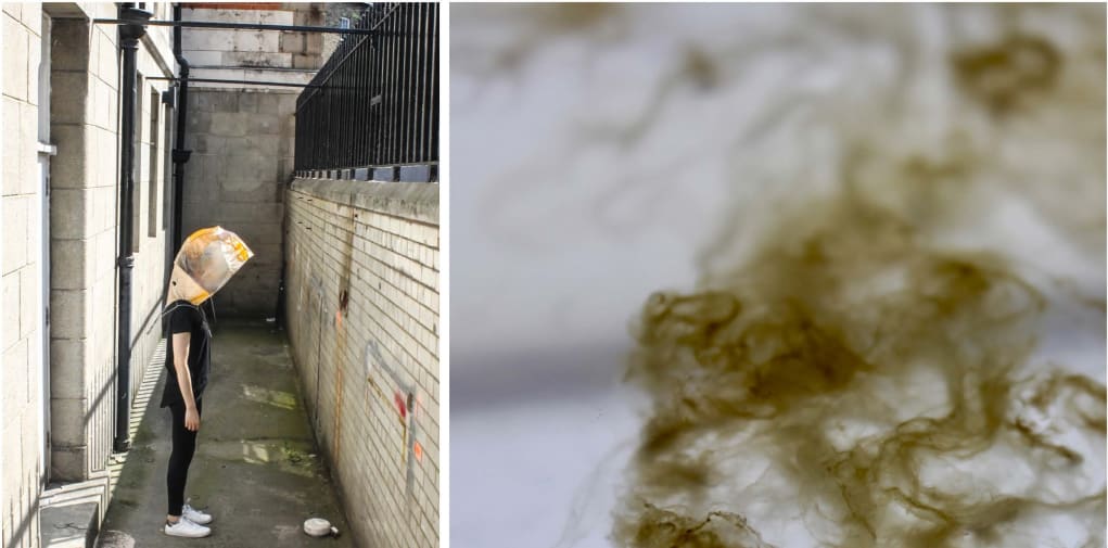 digital photograph & nano-fibres growing through cellulose. 