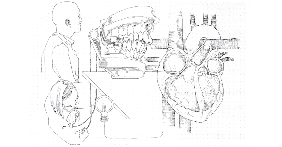 Stylised drawing of people with diagram of a heart and model of a jaw bone