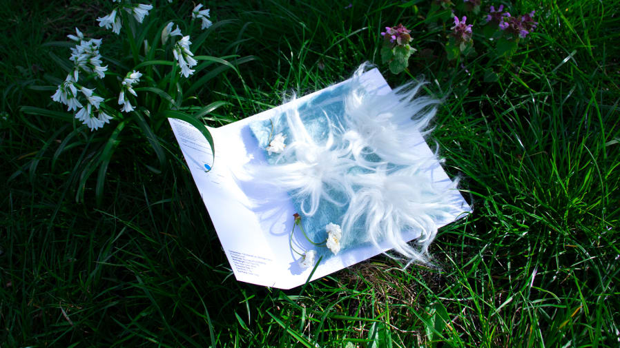 A fur sample on a square of card shot against green grass