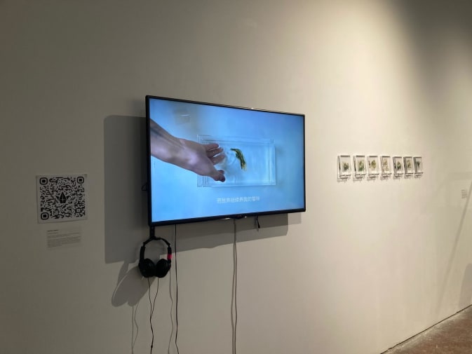 A screen mounted in a gallery space with headphones hanging in front depicts a hand manipulating a film negative.