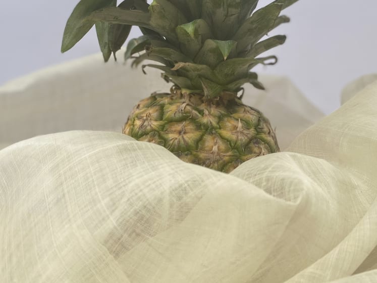 Pineapple woven fabric from waste evelyn gomez UAL Graduate Showcase