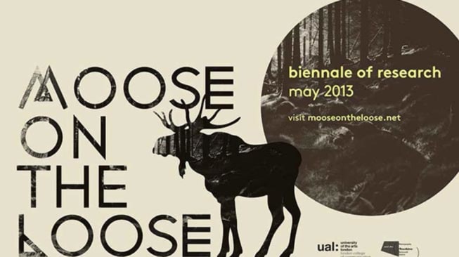 Moose on the Loose