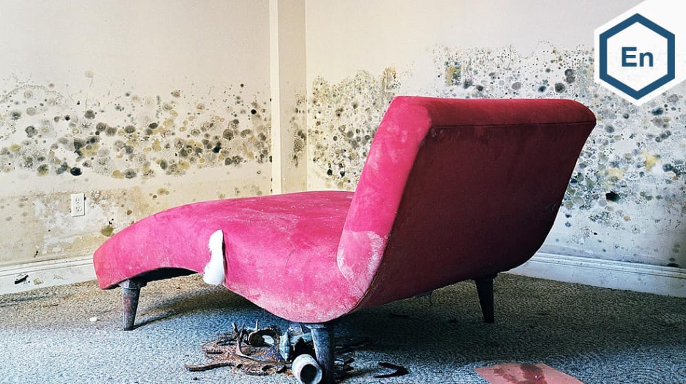 Mary-Jane Maybury work