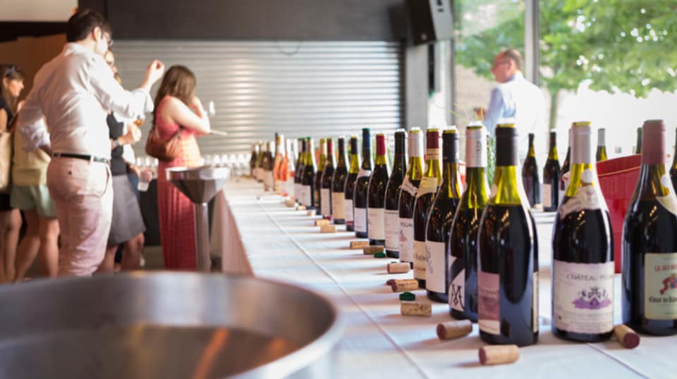 A long line of different wines lined up on a long table