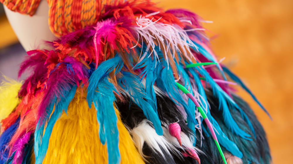 Close up of costume with feathers and fur