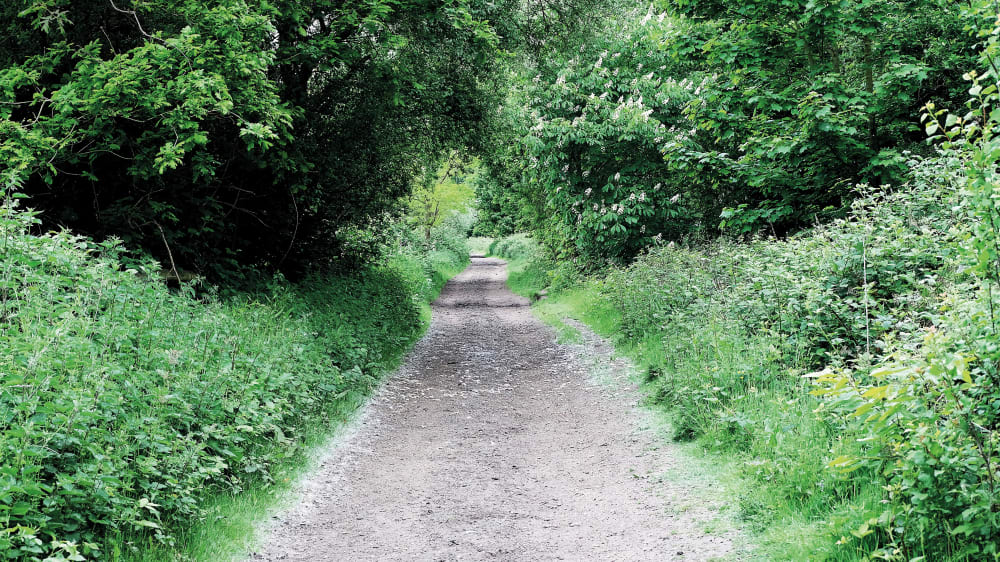 Path in Wimbledon Common, south west London