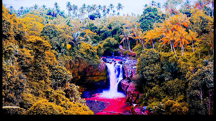 A waterfall amongst tropical trees in a jungle, the colours have been filtered and look unnatural and psychedelic.