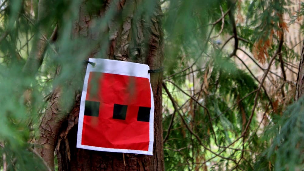 The trunk of a fir tree has a piece of material with three small black squares on a larger red square