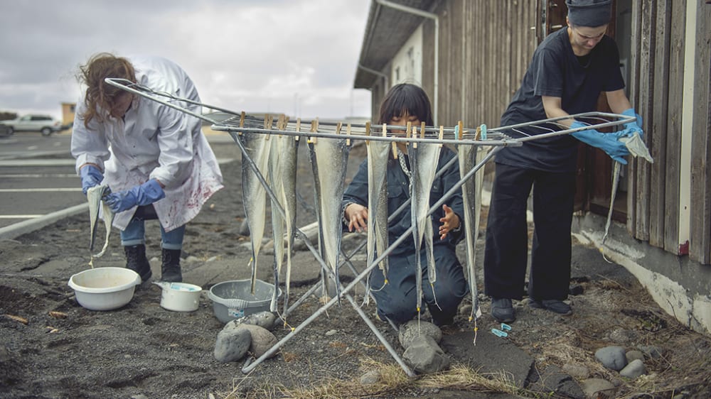 Nordic fish Skin drying on a clothes airer