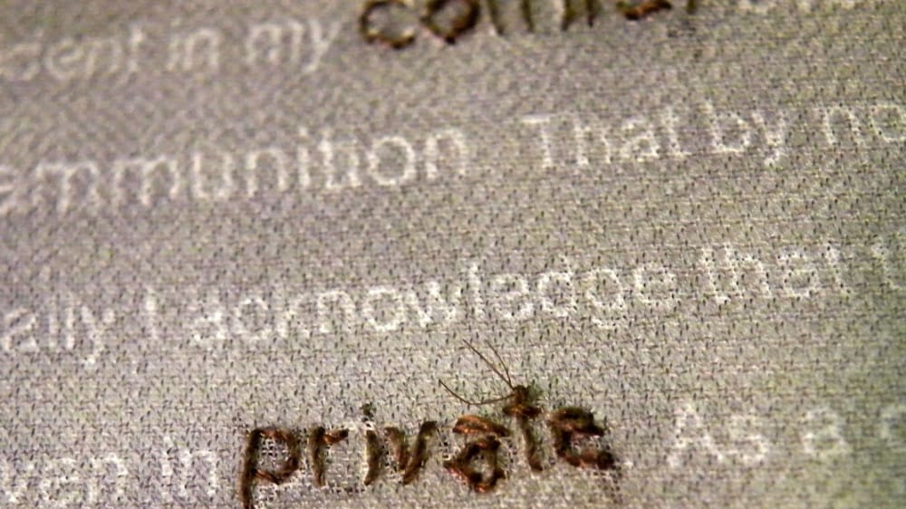 Human hair embroidered onto cloth with printed text
