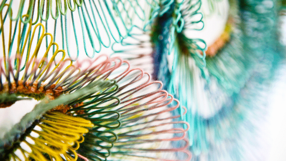 Multi-coloured threads in a flower shape on a white background