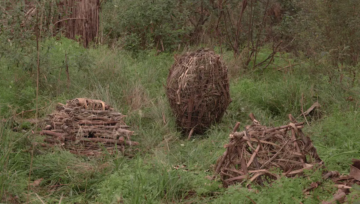 In a wild green outdoor location, a pair of hands is working with a handmade wooden nest-like structure