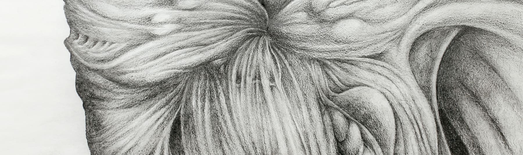Graded Awards in Drawing Tone | Online