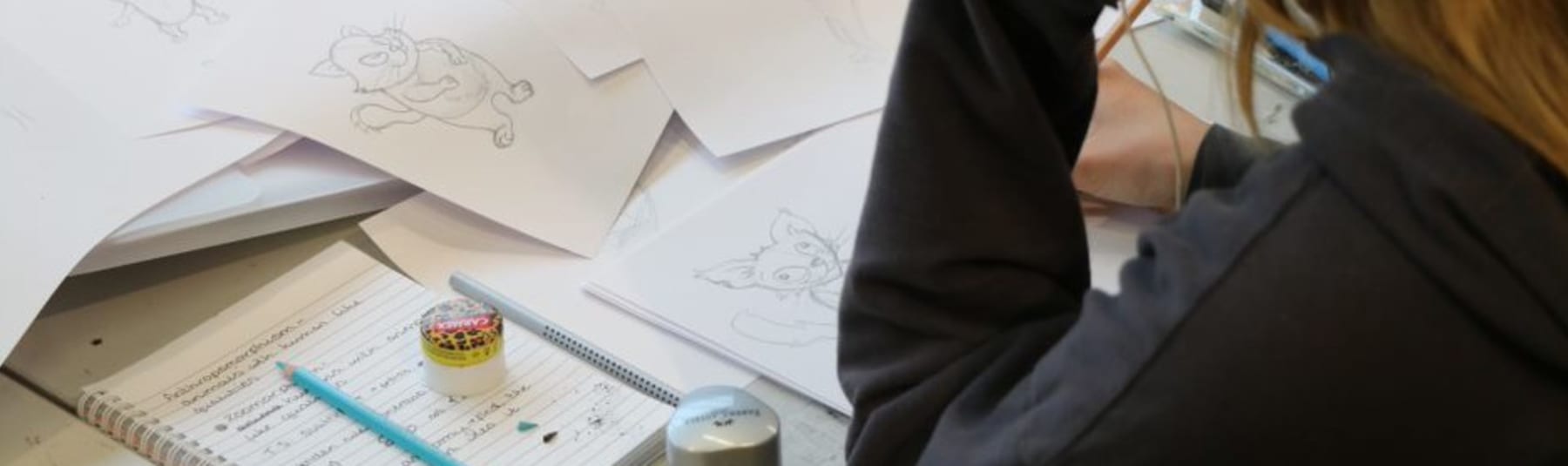 Illustration Short Course | On Campus