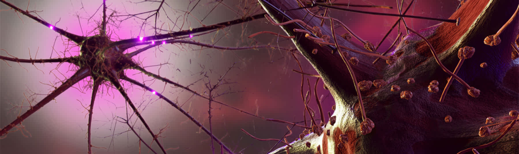 <p>Figma and Jitter Animation Online Short Course | Online</p><p>Image:&nbsp;Weronika Kubak | Course Tutor</p>