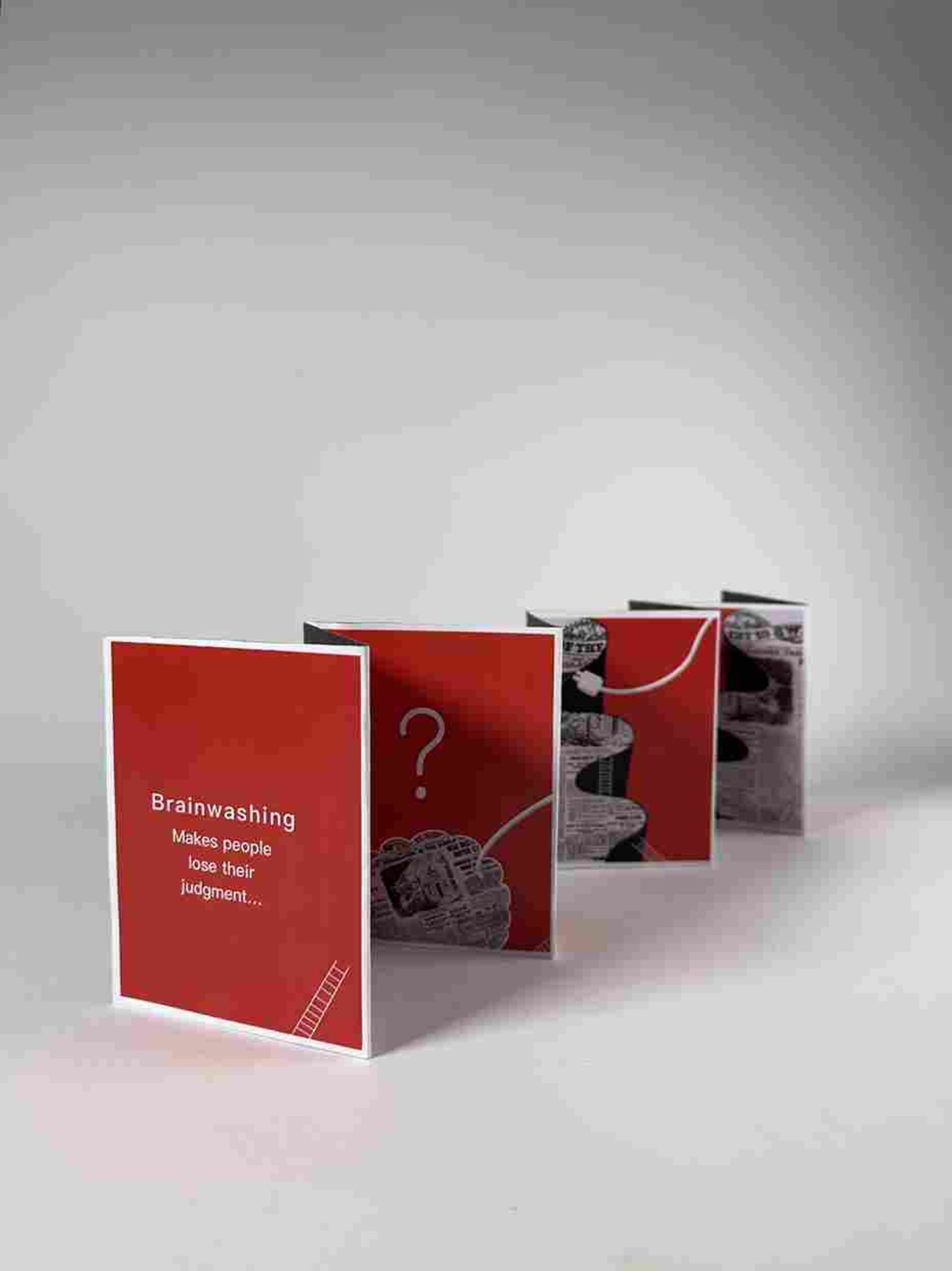 A publication project that show the extension of the illustration.
