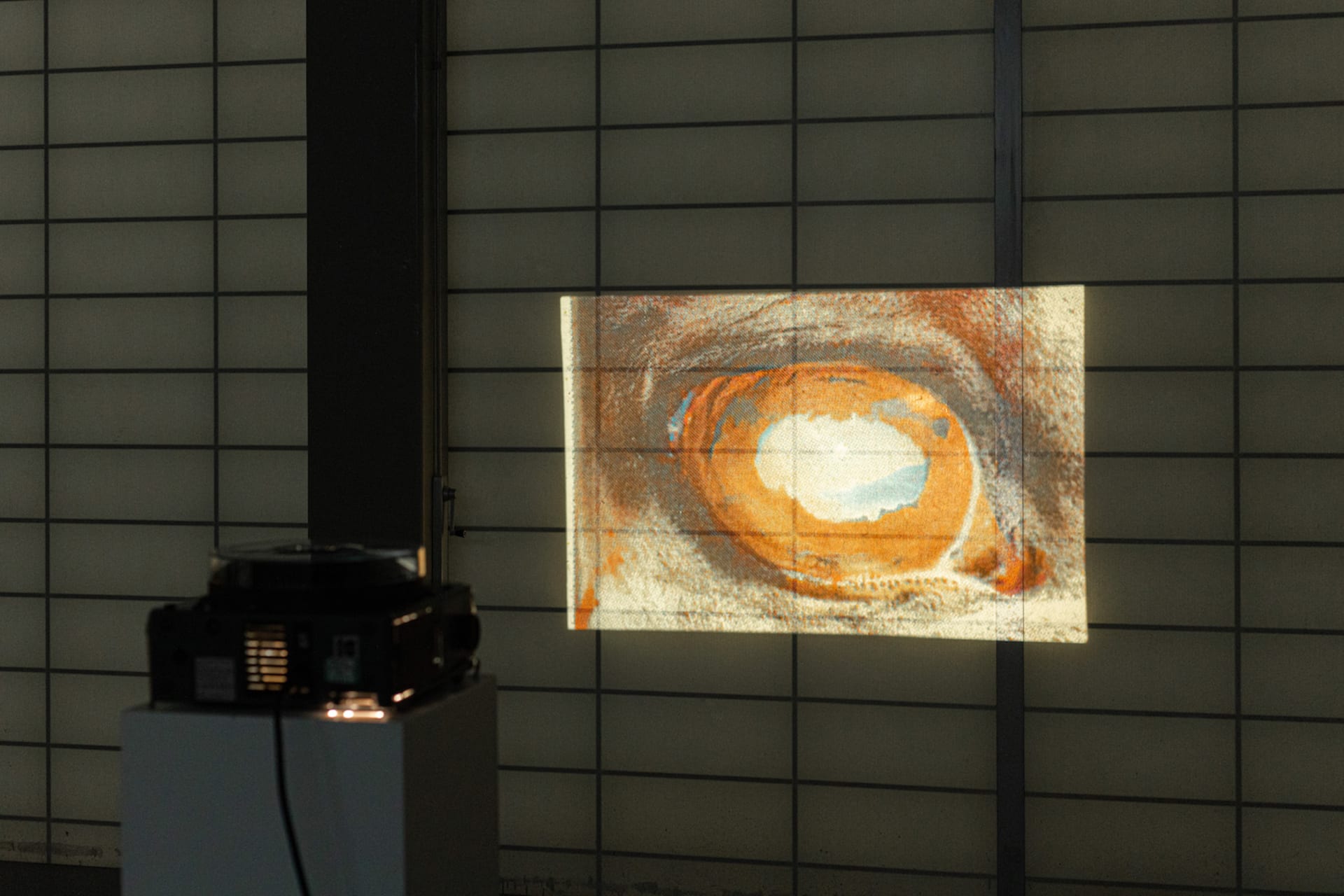 Slideshow on the eyes of horse