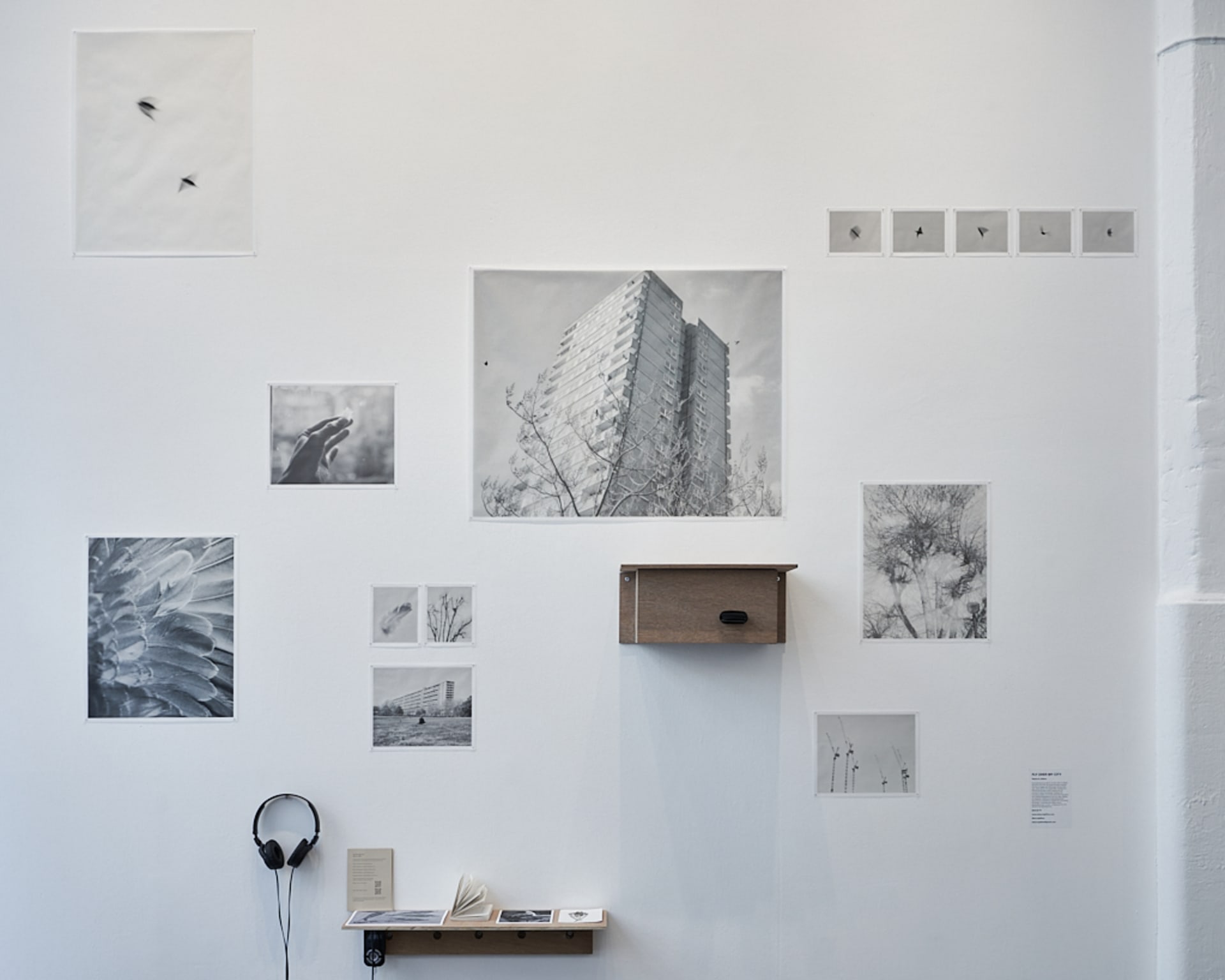Photograph of project installation with black and white images on the wall and wooden nest box.
