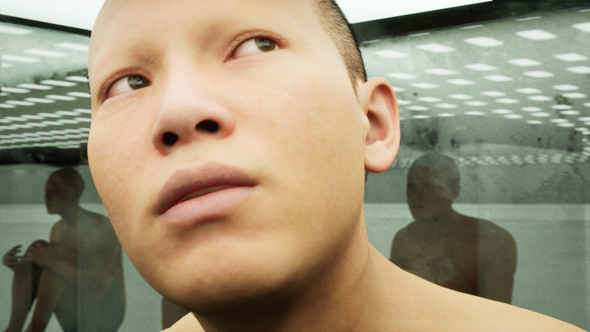 Users are confined within a social media box