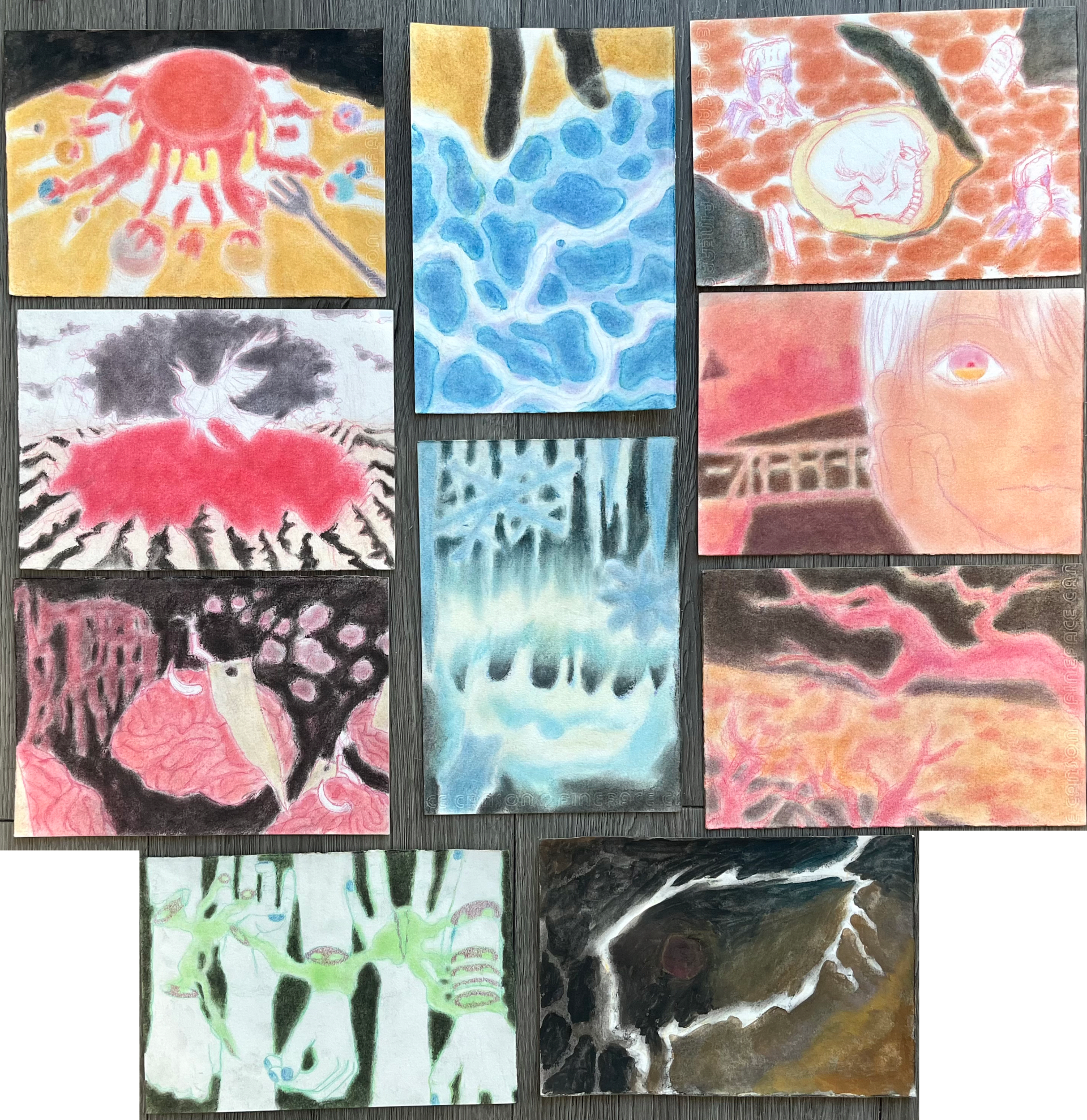 My project explores nature in Emily Dickinson’s poems and the conflicts of her multiple self-projected sexual carriers in nature.