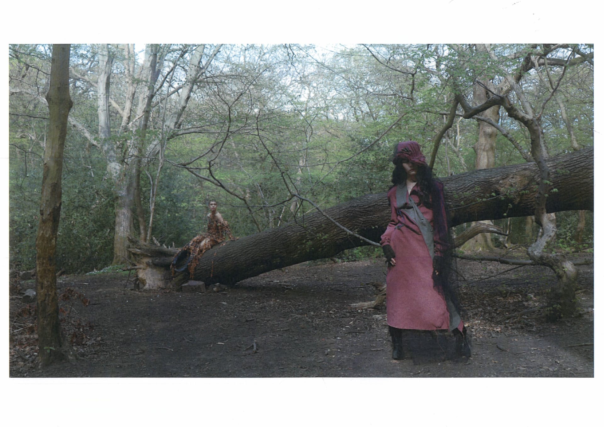 Photograph of two characters standing by a fallen tree