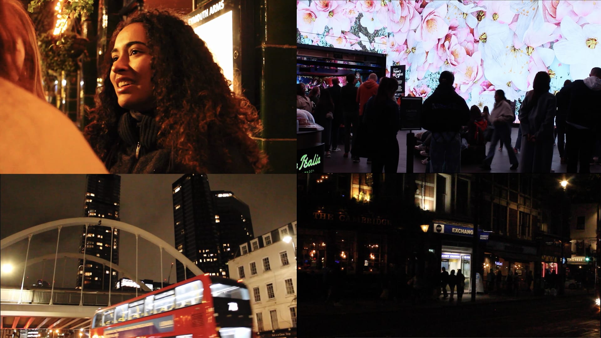 A grid of selected shots