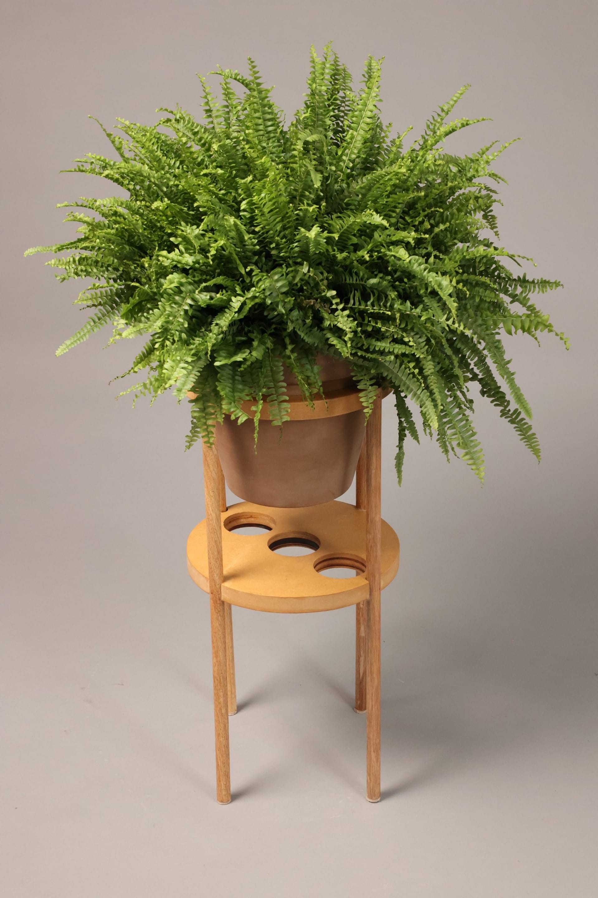 Plant pot stand