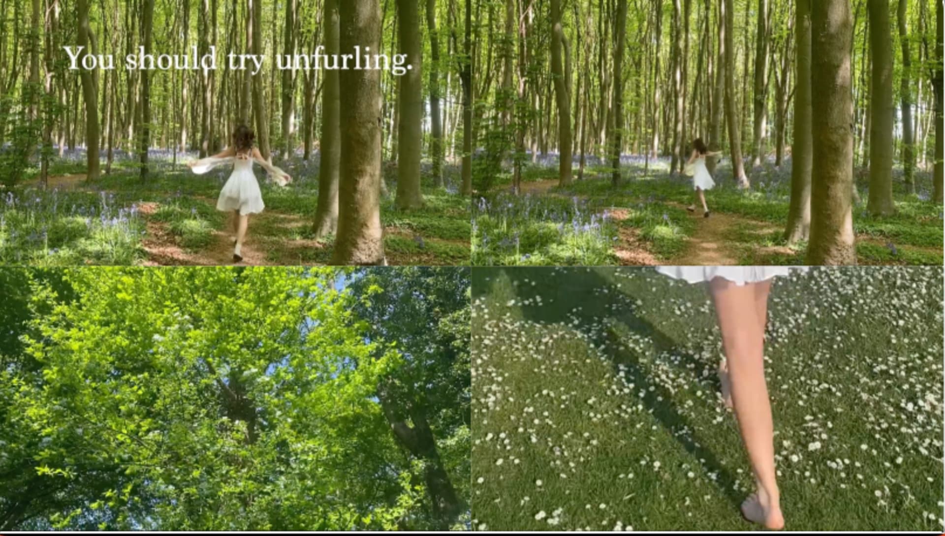 Collection of still from a short film