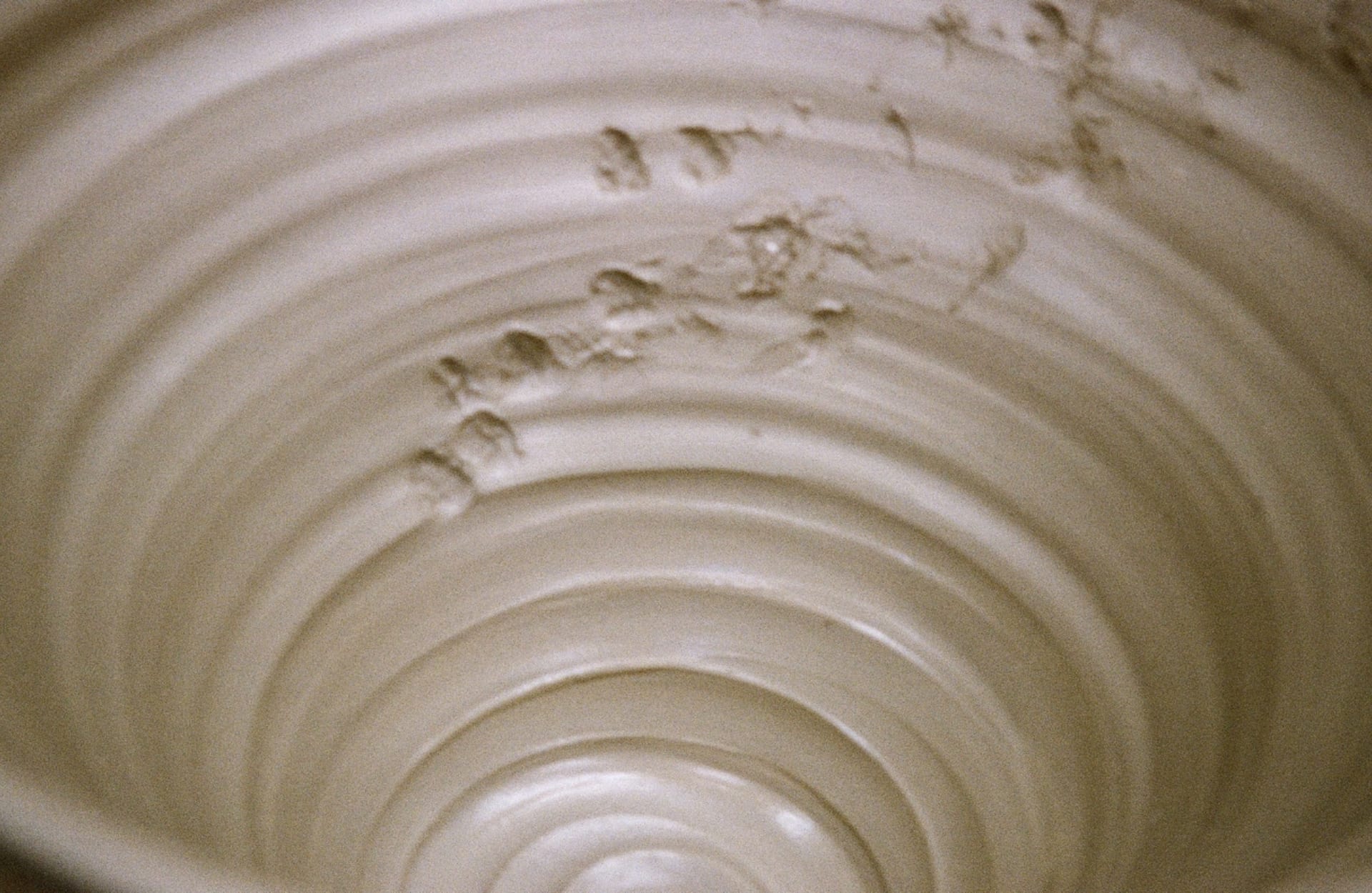 a close up the inside of a stoneware pot where an oyster shell has been pressed into, interrupting the throwing lines