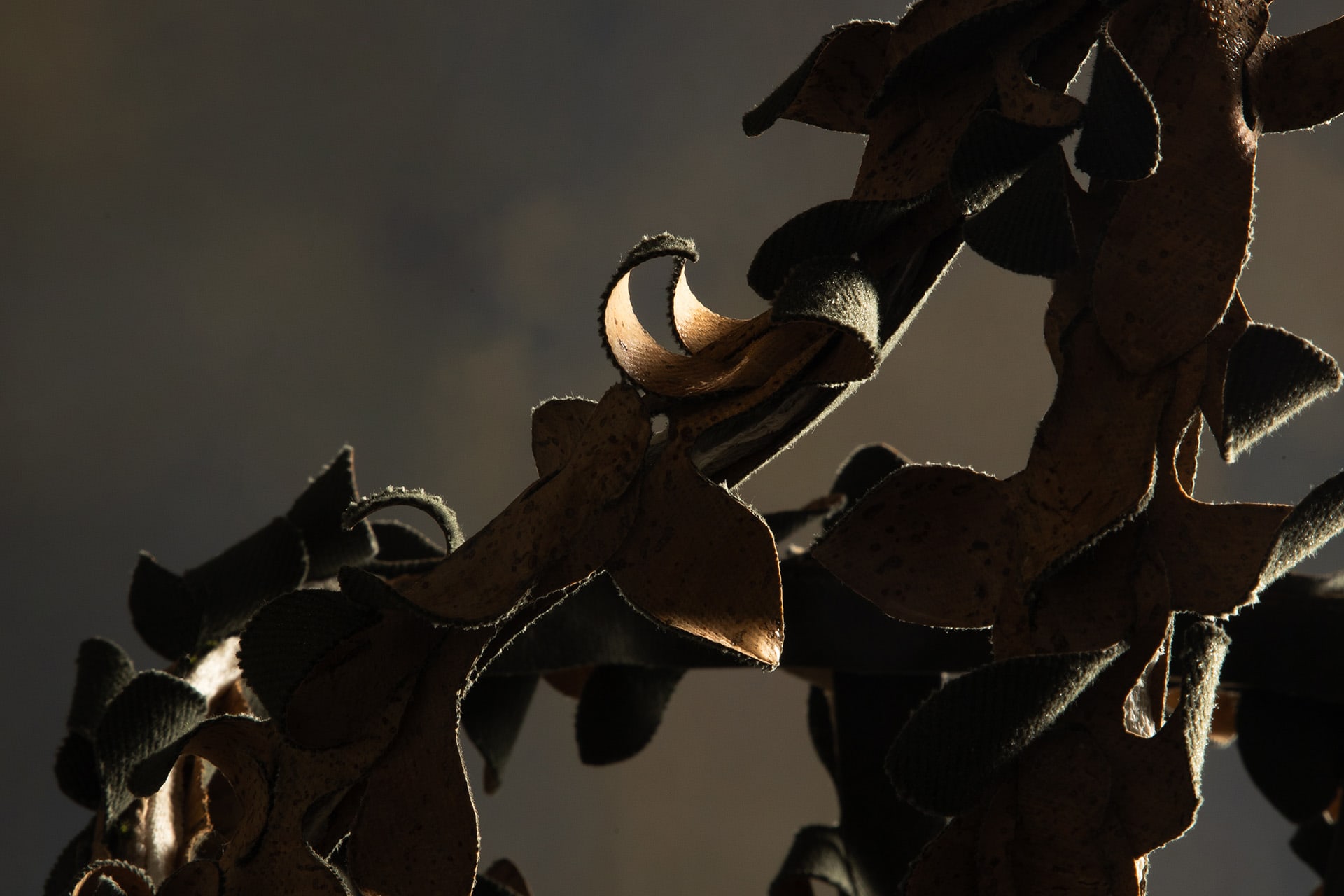Close-up of the object’s curl-and-open segment reacting to a water droplet — detecting moisture levels