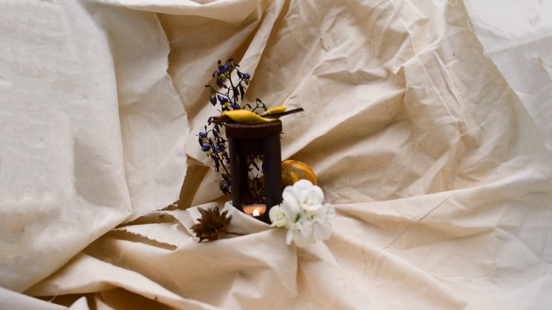 Eleven AM - a fragrance that captures the glow of still late mornings