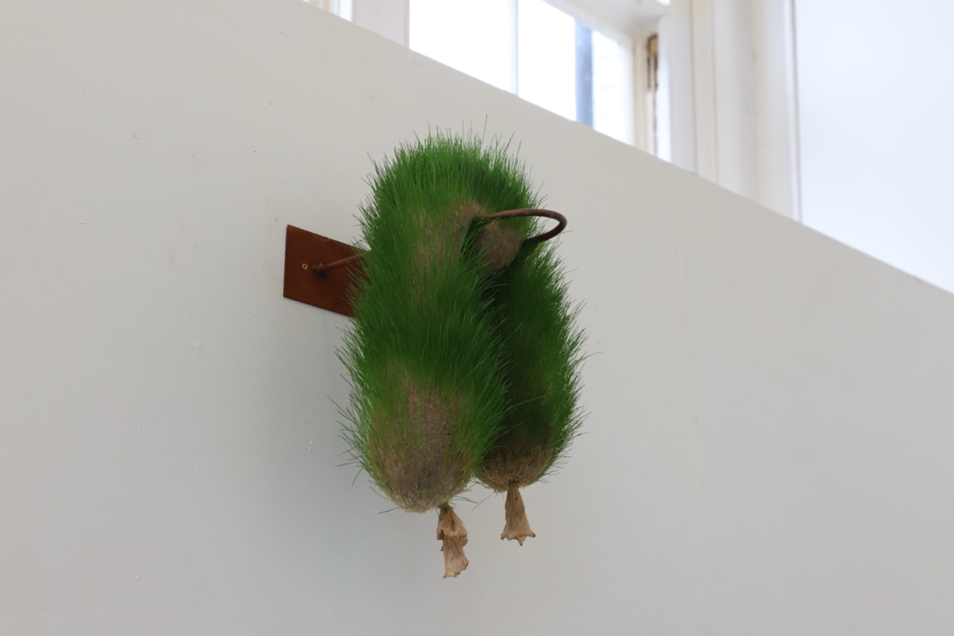 growing grass element with metal sculpture hanging on the wall