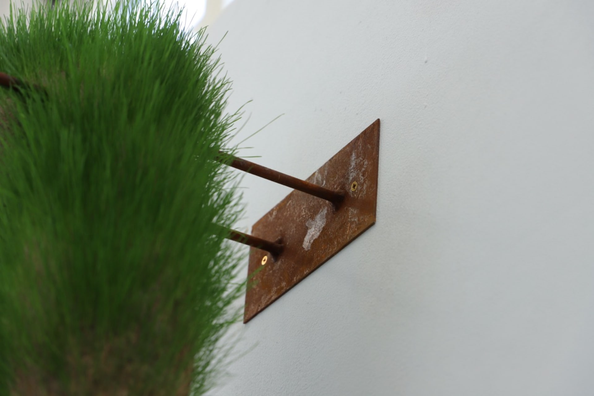 rusty steel detail picture