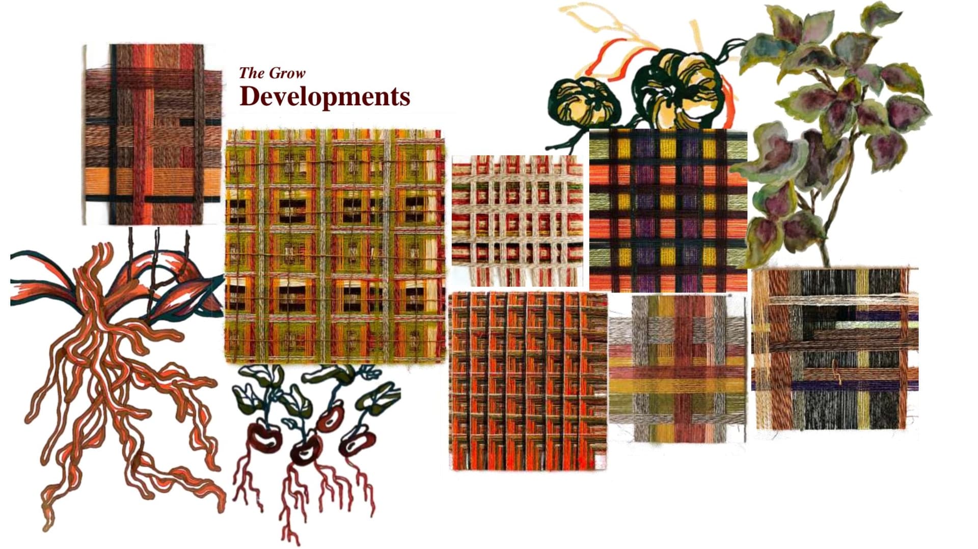 Windings development and project colour pallets