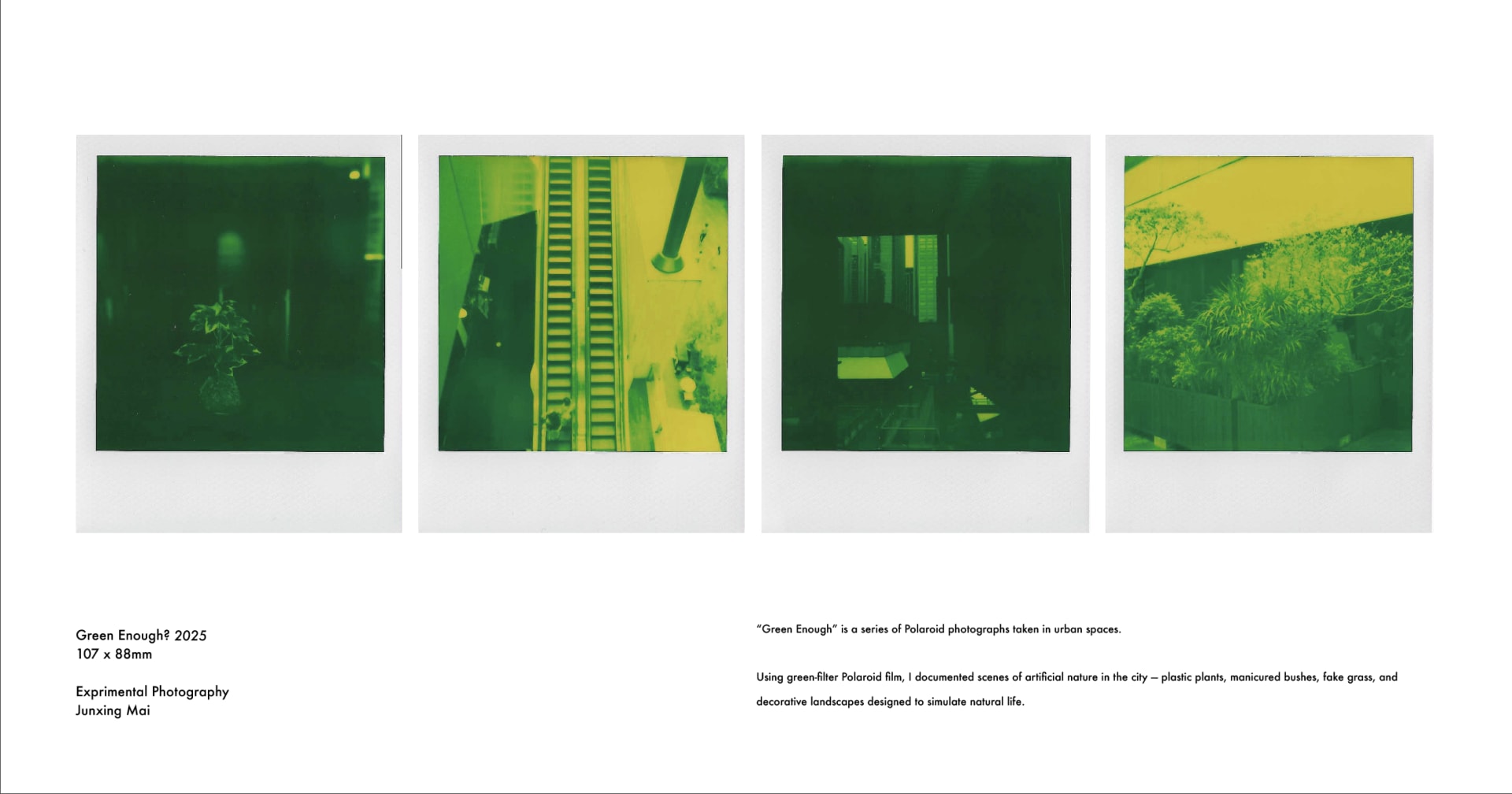 "Green Enough" explores artificial nature in urban spaces through green-filtered Polaroids, questioning whether curated greenery is comfort or control