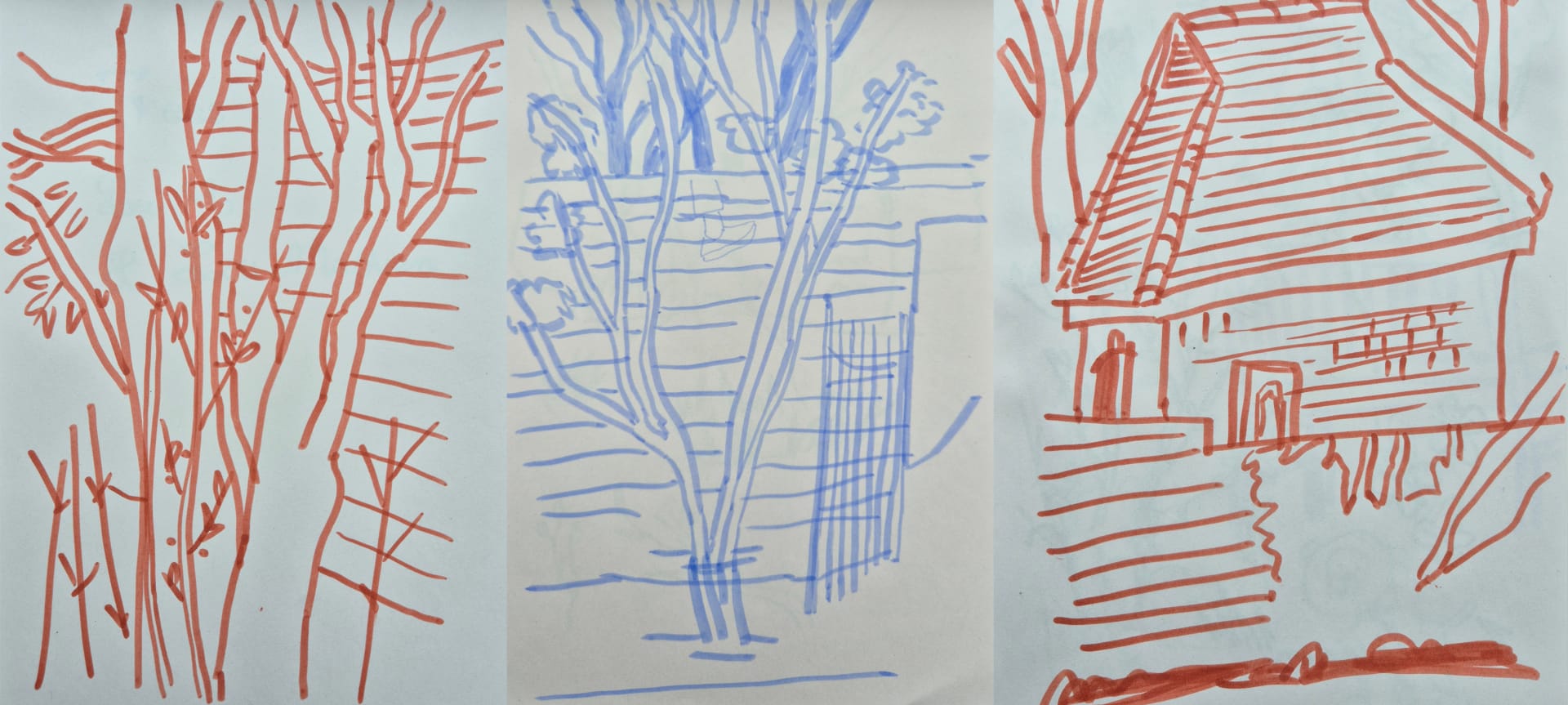 Sketches made in the garden.