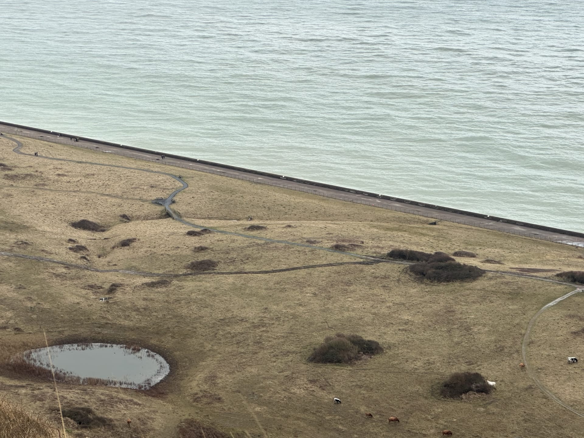The photo shows the puddle in land, and the ocean.