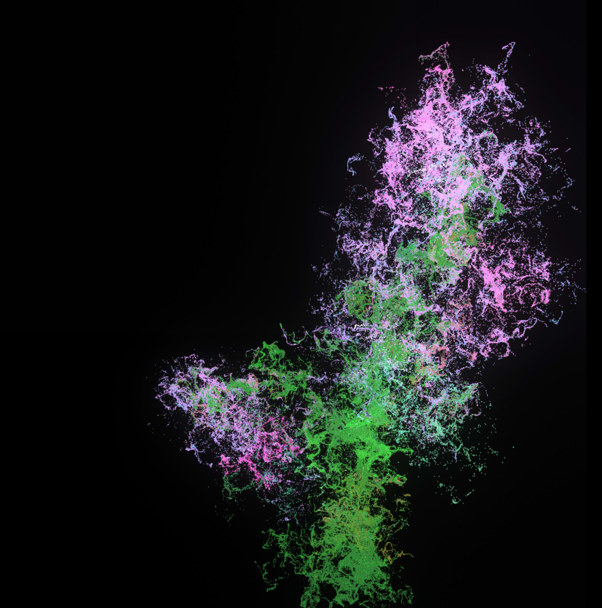 Image content with 3D virtual plant particle effect 