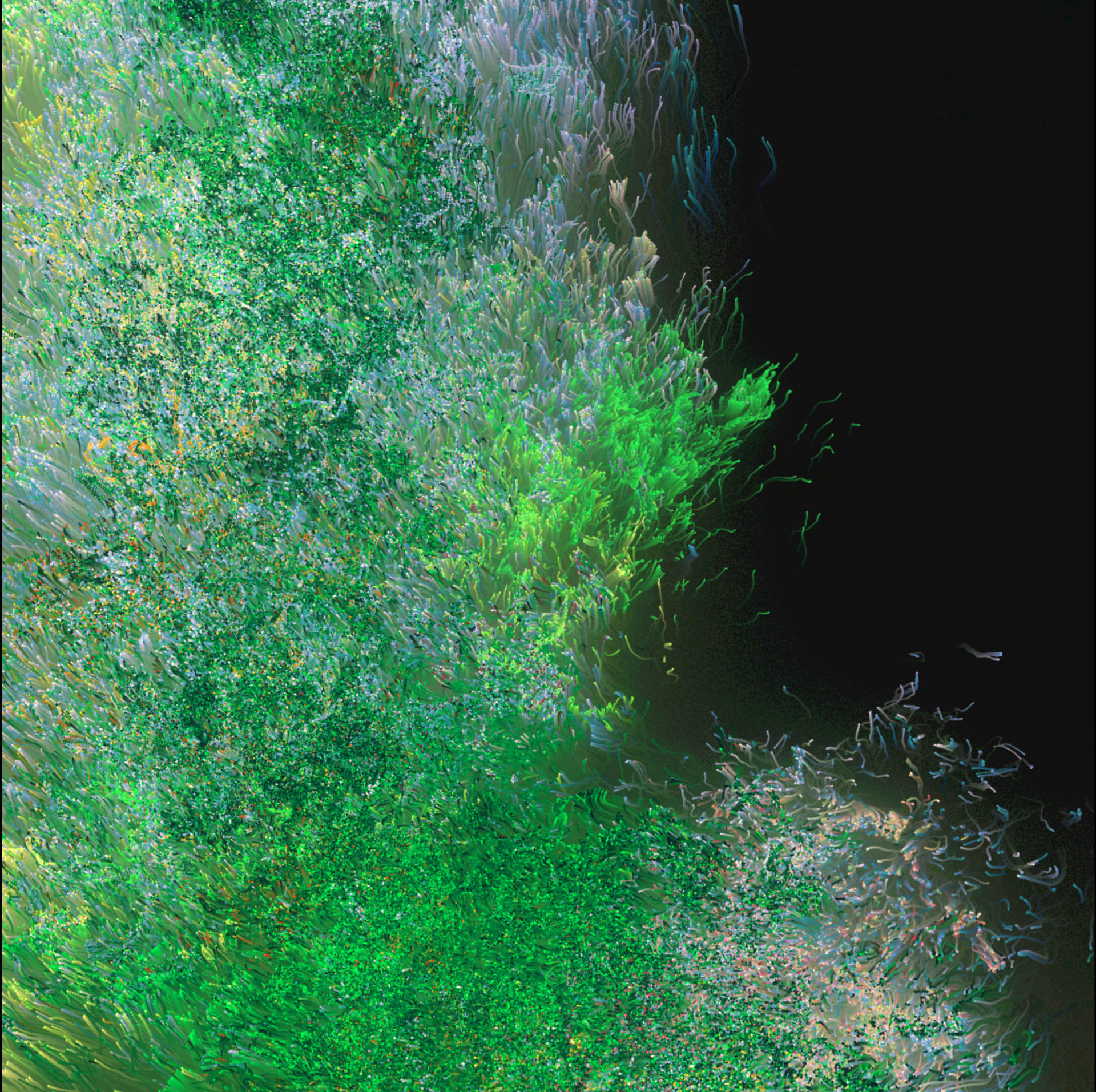 Image content with 3D virtual plant particle effect 