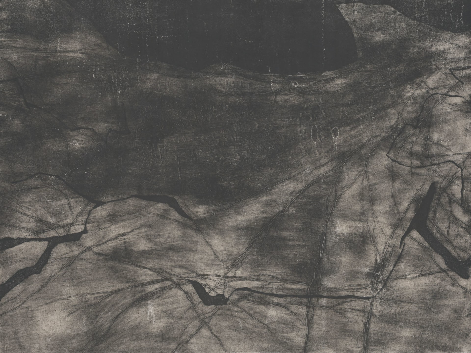 A textured black and white print 