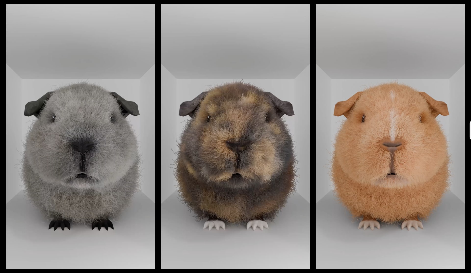 A digital triptych of three hyperrealistic 3D guinea pigs, each seated in a small white box. They differ in fur color and texture.
