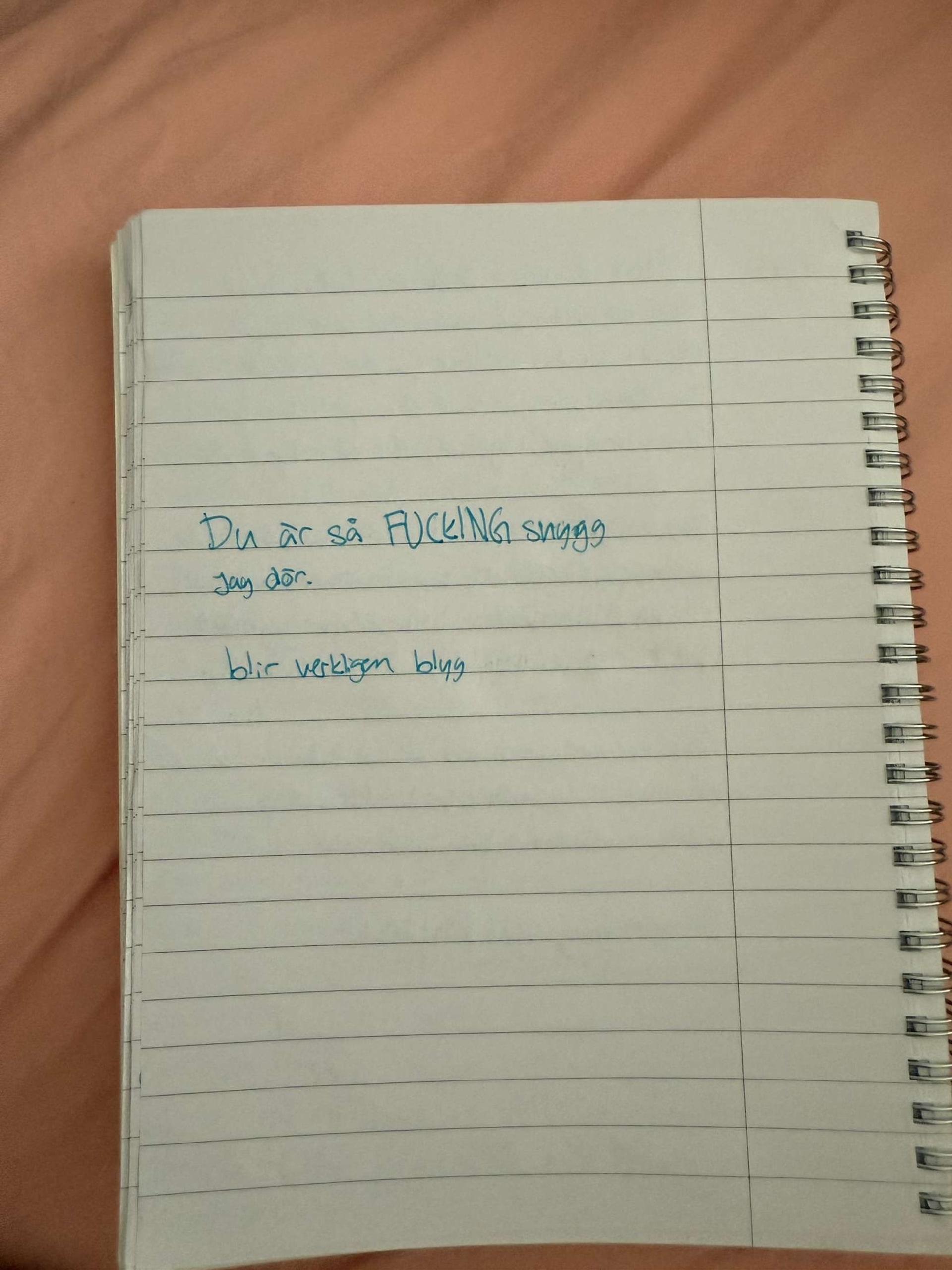 A photograph from my sisters notebook.