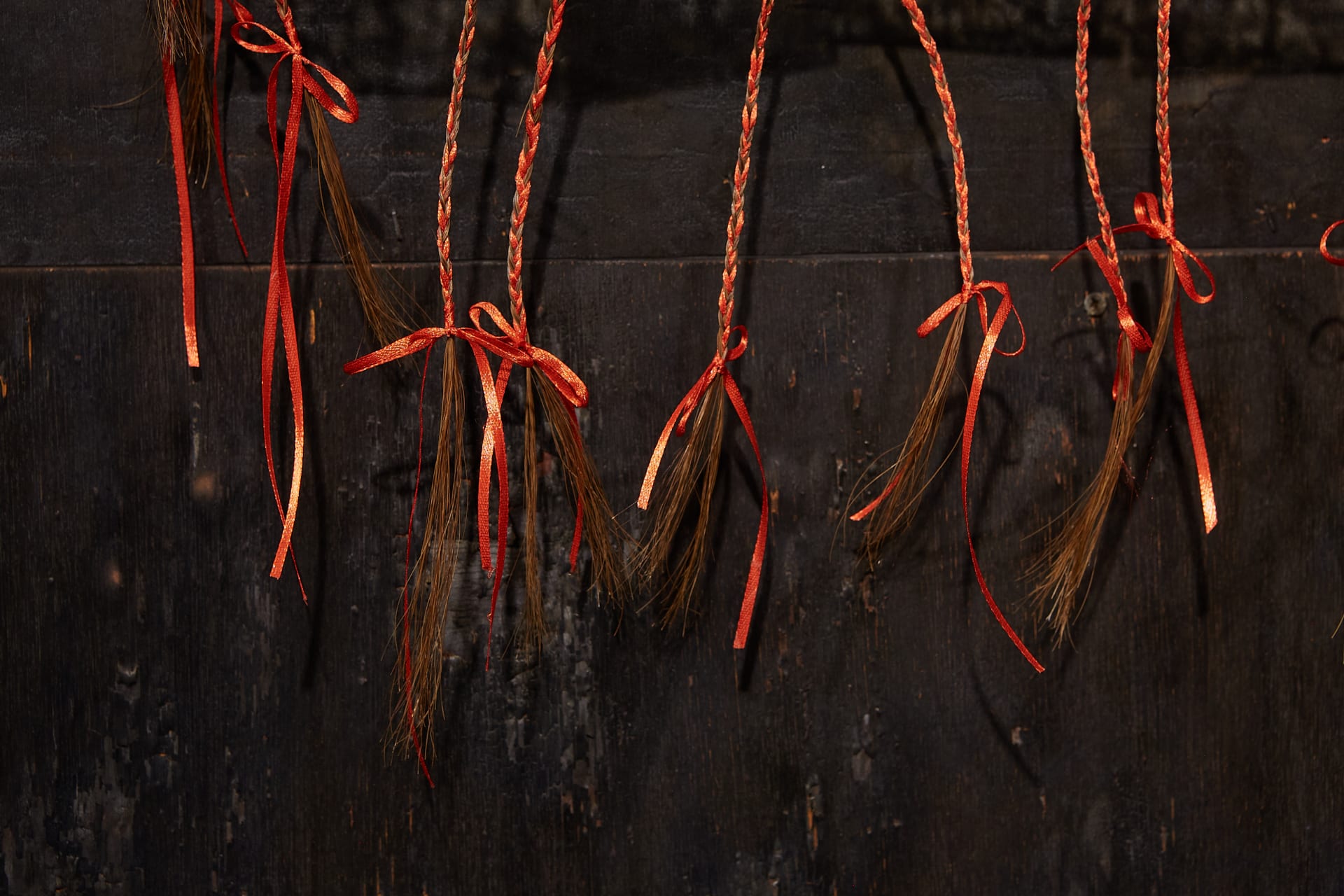Charred pine wood, etched glass, Transylvanian horse hair, red-satin ribbons, rusted mild steel. Wall mounted installation. 240 x 350 cm