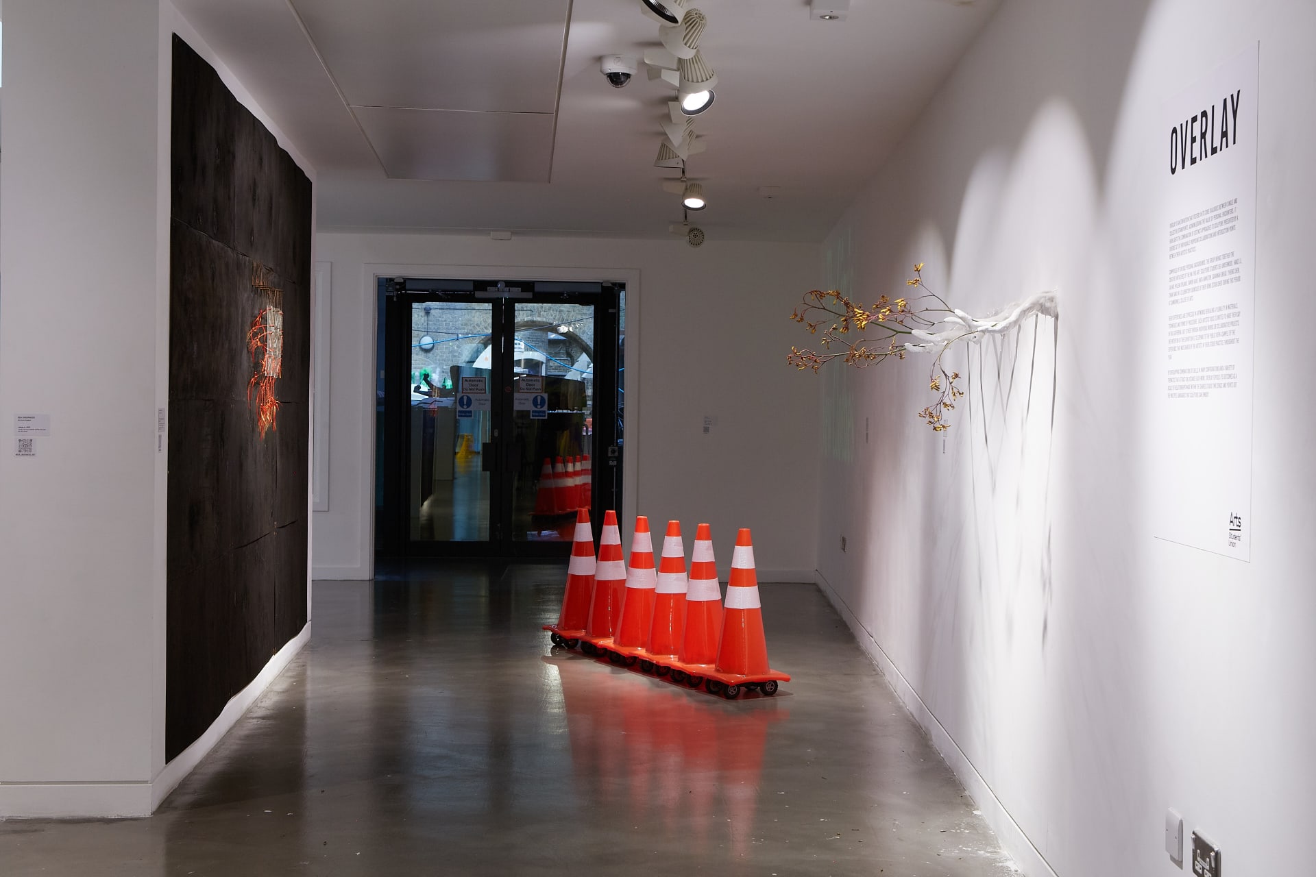 Charred pine wood, etched glass, Transylvanian horse hair, red-satin ribbons, rusted mild steel. Wall mounted installation. 240 x 350 cm