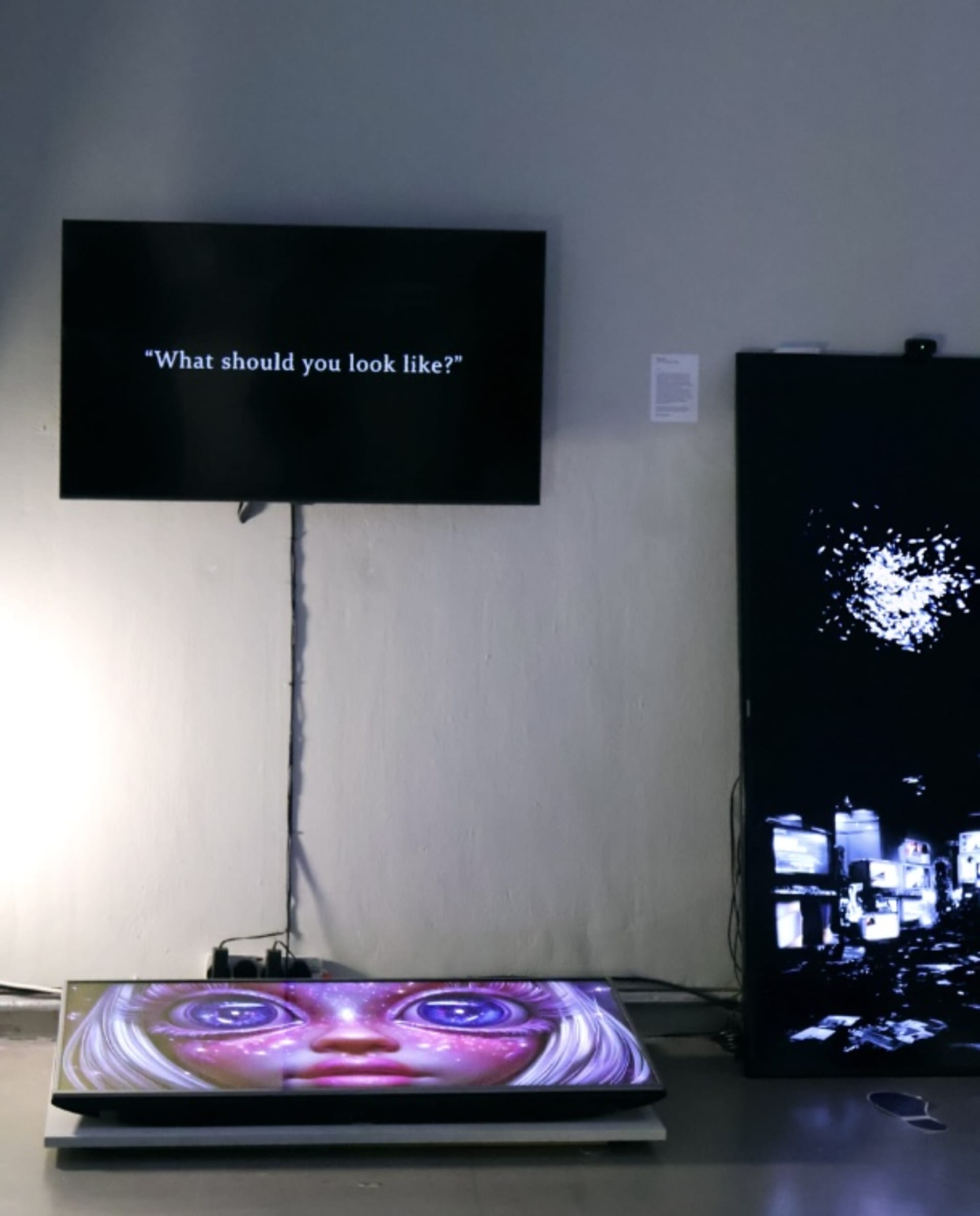 Installation image. Screen reads "What should you look like?"