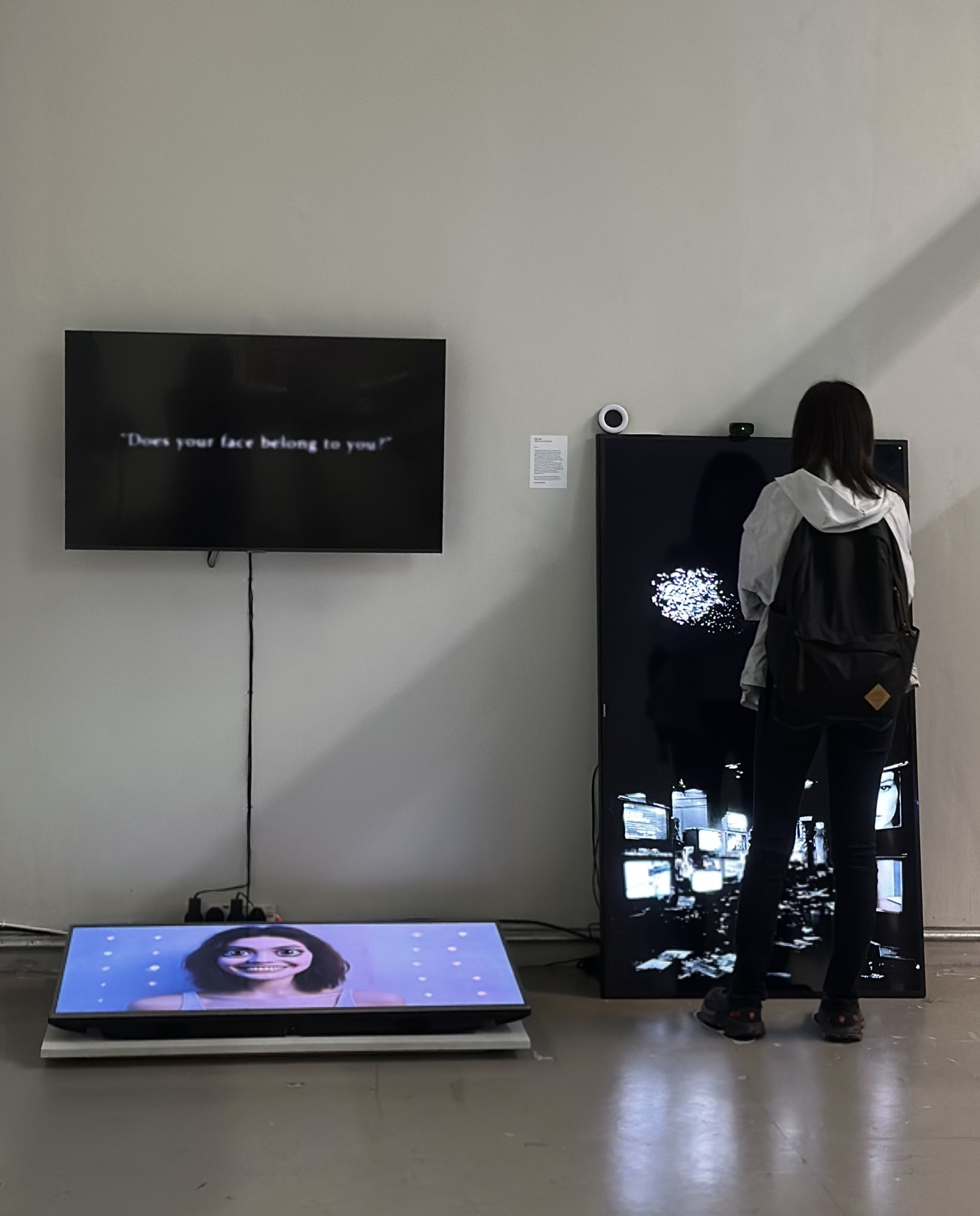 Installation shot of 3 screens.