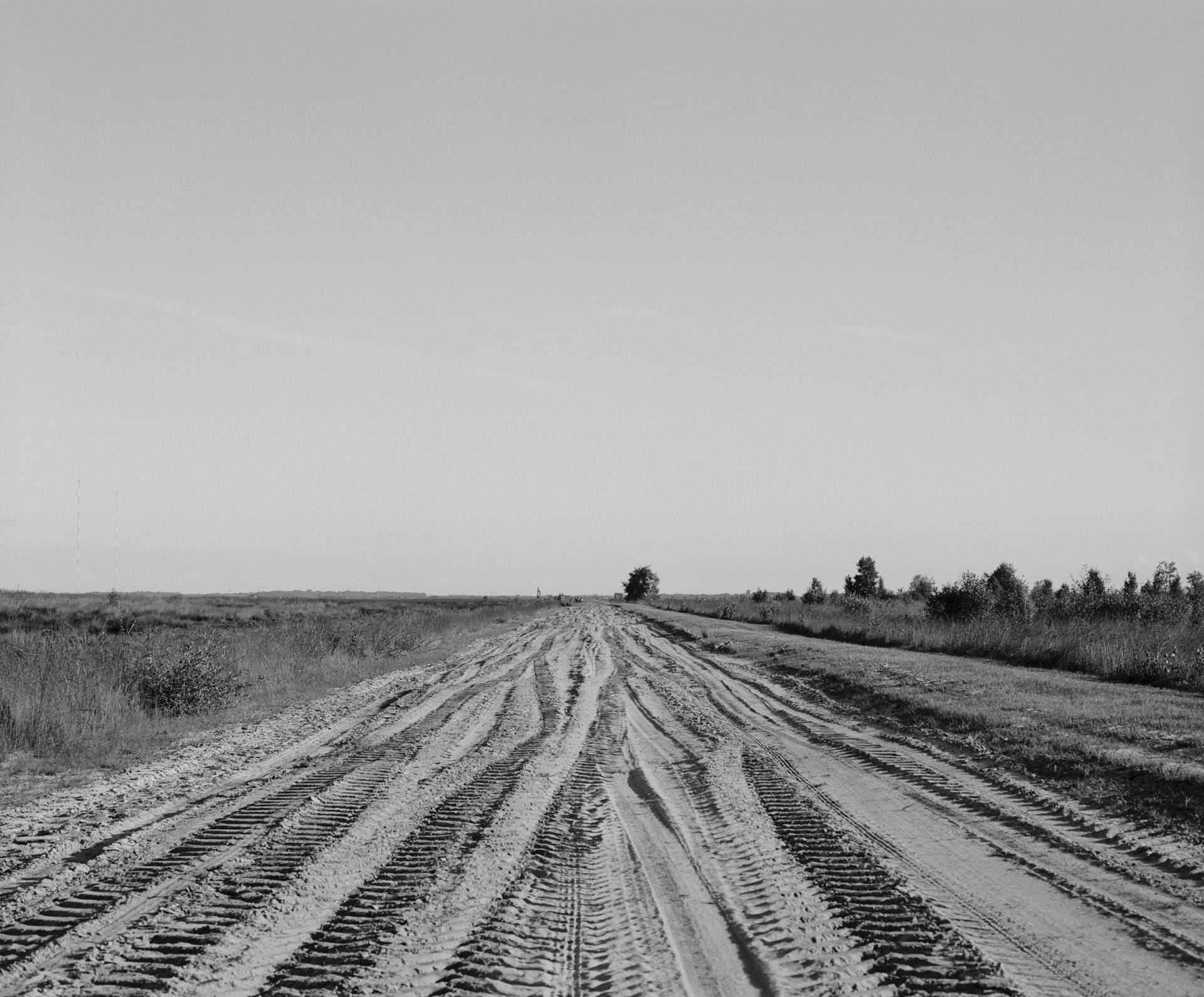 Wide sandy road carved up by tractor treads cuts through the center of a landscape of moor and heath, above hangs an empty sky.