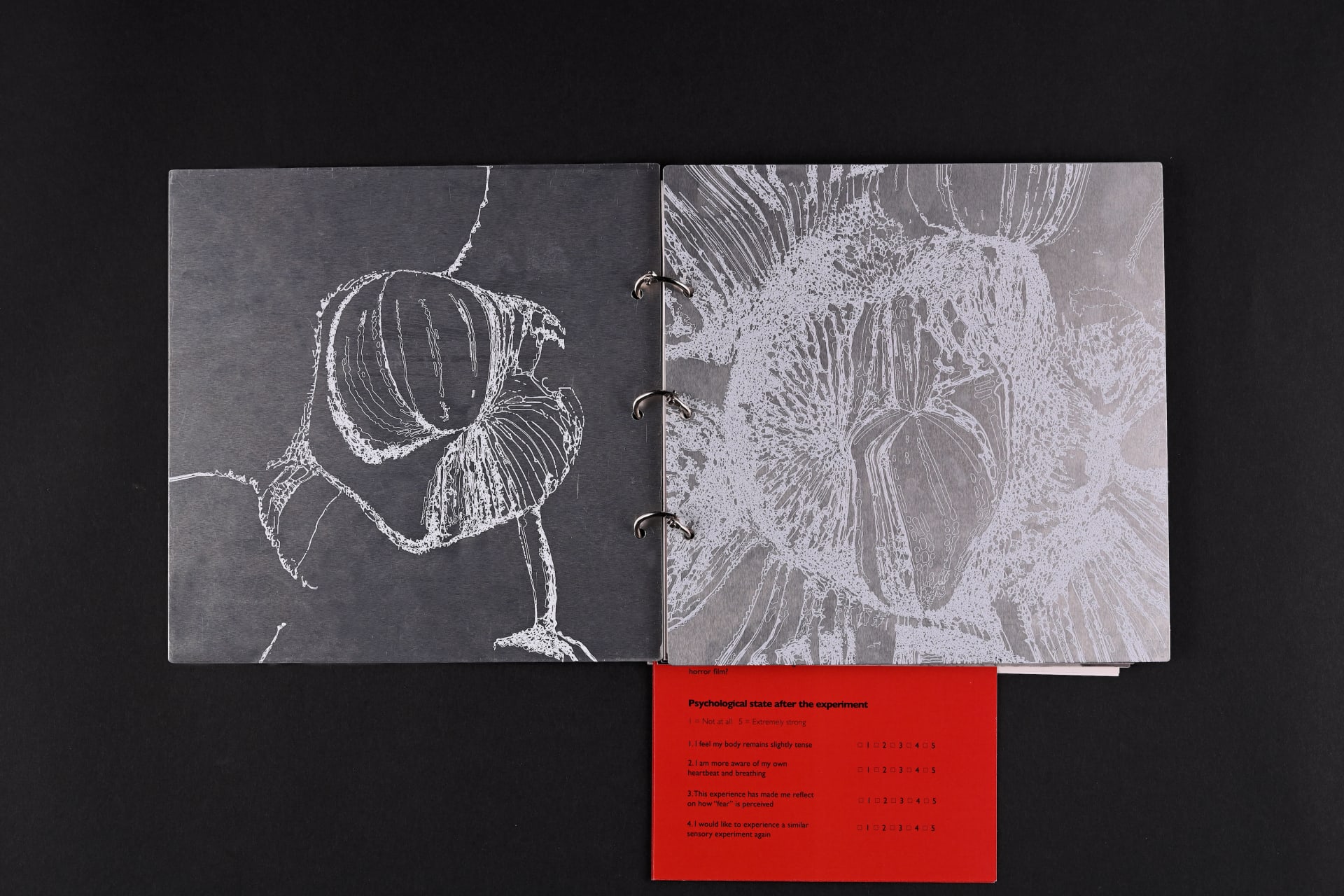This is an experimental visual documentation manual for my project.