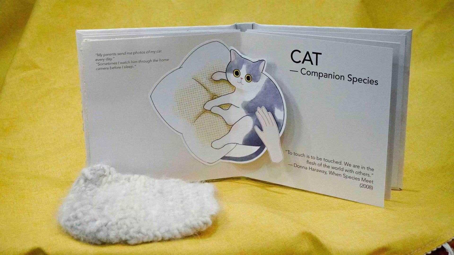 A pop-up book showing a cat and a moving hand, placed on a yellow fabric background, with a small knitted cat-hair sample beside it.