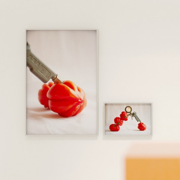 Exhibition shot of framed photographs showing coloured fruit, within a white gallery space.
